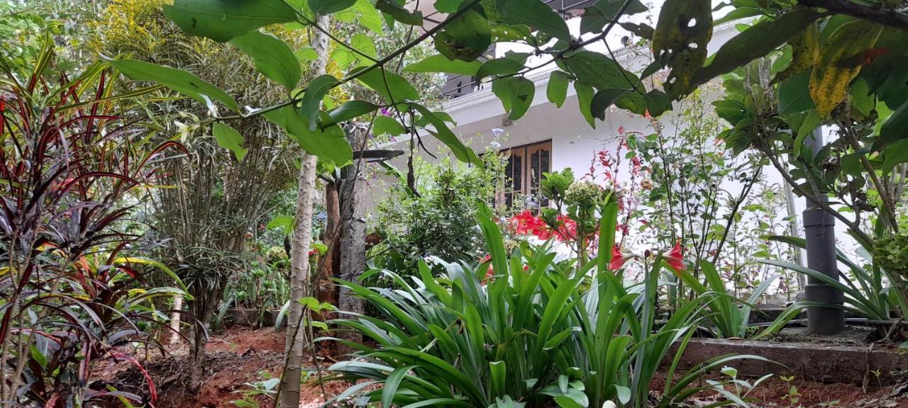 Anachal Le Farmhouse Munnar מראה חיצוני תמונה