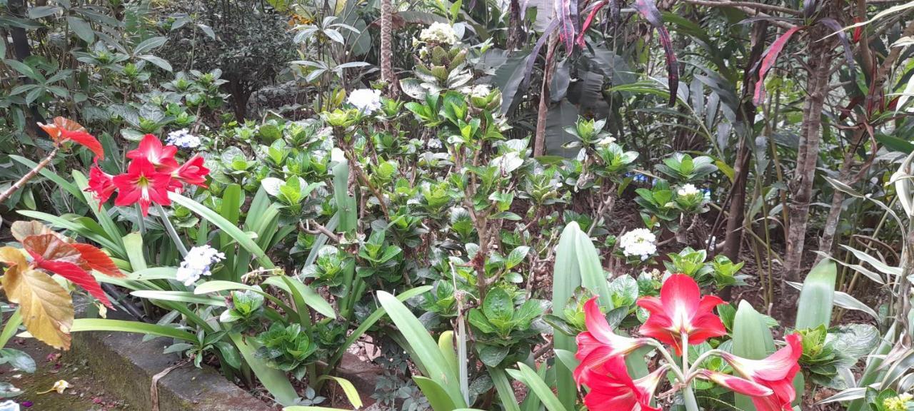 Anachal Le Farmhouse Munnar מראה חיצוני תמונה