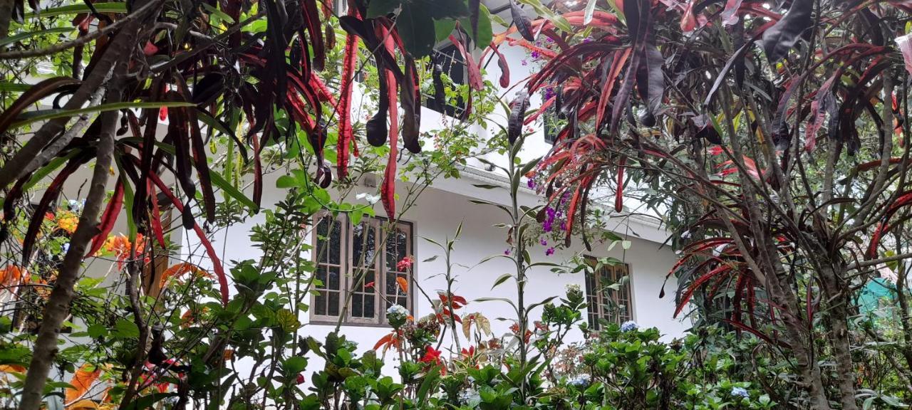 Anachal Le Farmhouse Munnar מראה חיצוני תמונה