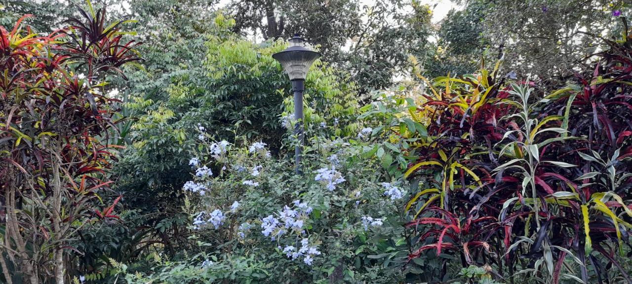 Anachal Le Farmhouse Munnar מראה חיצוני תמונה
