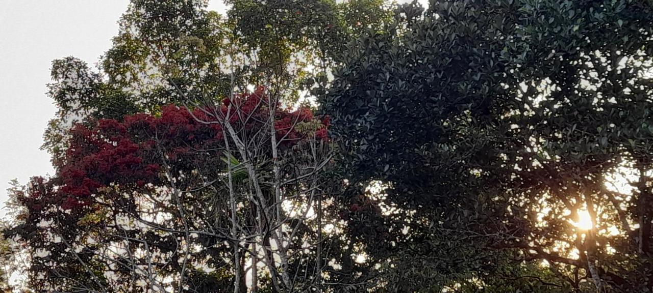 Anachal Le Farmhouse Munnar מראה חיצוני תמונה
