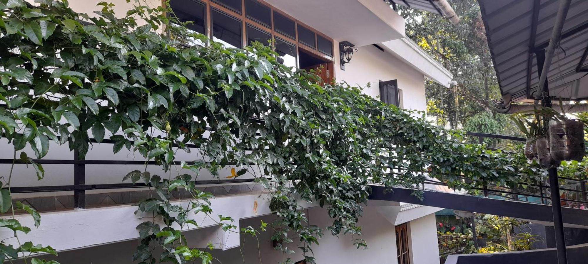 Anachal Le Farmhouse Munnar מראה חיצוני תמונה
