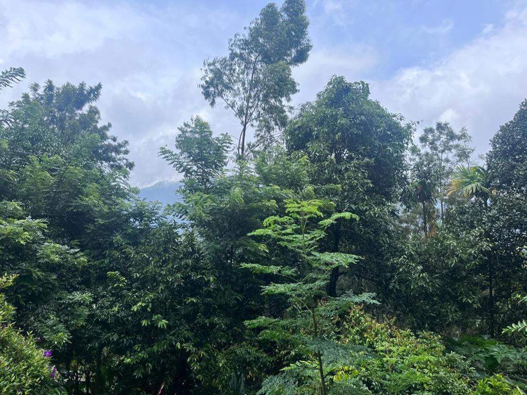 Anachal Le Farmhouse Munnar מראה חיצוני תמונה